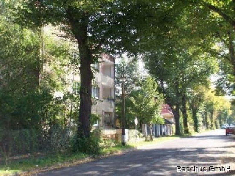 Berlin Günstig mit toller Ausbaumöglichkeit: Renditehaus in Pankow für klugen Investor! Haus kaufen