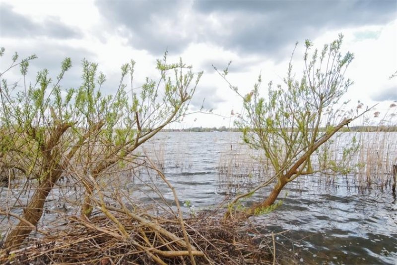 Brandenburg an der Havel Wassergrundstück mit positiver Bauvoranfrage am Wusterwitzer See! Grundstück kaufen