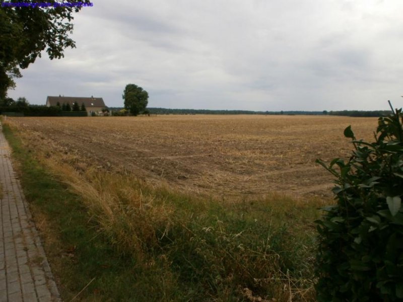 Süderholz großzüig bebaubares Grundstück bei Greifswald / Bodden Grundstück kaufen