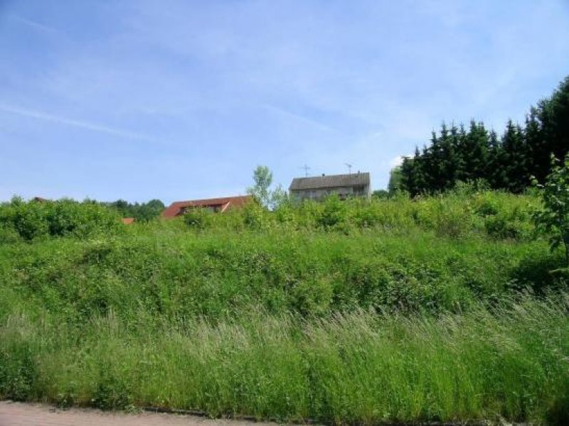 Burghaun Günstiger Bauplatz in Burghaun, voll erschlossen Grundstück kaufen