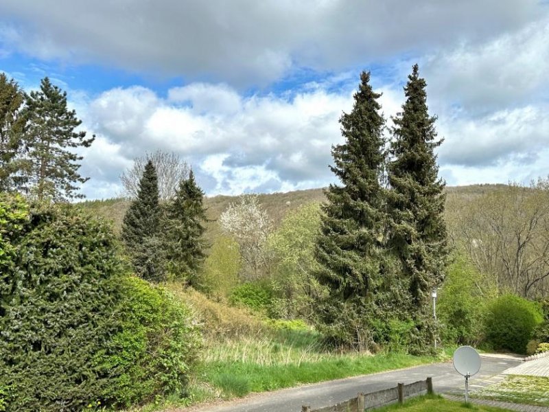 Schleiden Tolles Grundstück in ruhiger Lage am Rande des Nationalparks Eifel Grundstück kaufen
