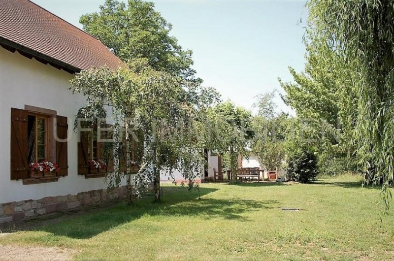 Seebach Zauberhaftes Landhaus im Elsass auch als Ferienvermietung/Nutzung - 450m² Wohnfläche - Schwimmteich Haus kaufen