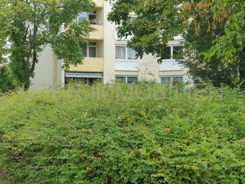 Mannheim Fantastische KAPITALANLAGE - Grüne Oase - 5 Zimmer Terrassenwohnung mit Garten nur wenige Minuten zum See Wohnung kaufen