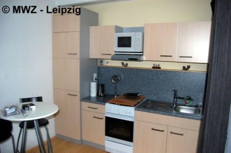 Leipzig kl. Appartement im Ferienhaus mit Kamin und Terasse, 10 min zum Kulkwitzer See, verkehrsgünstig, preiswert Wohnung mieten