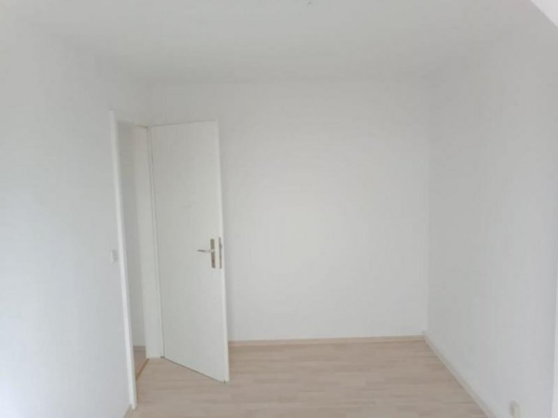 Chemnitz Gemütliche und renovierte DG 4,5-Zimmer mit Laminat in zentraler Lage! EBK mgl.! Wohnung mieten