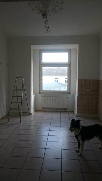 Nordrhein-Westfalen - Gelsenkirchen Helle Altbauwohnung sucht Nachmieter zum 1.4. in Gelsenkirchen Wohnung mieten