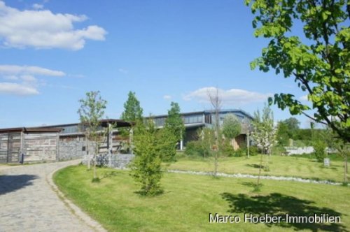 Großharthau Gewerbe Immobilien Reiterhof mit Stallanlage und Halle bei Dresden Gewerbe kaufen