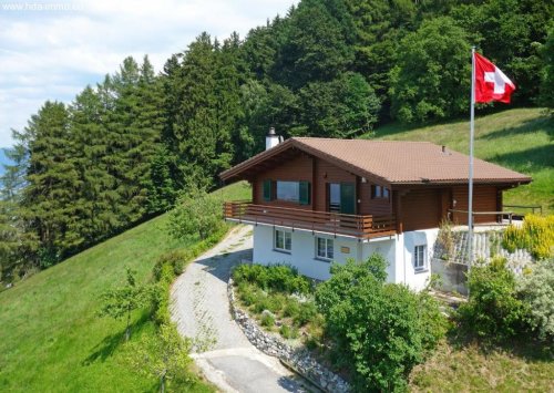 Walzenhausen Immobilien HDA-Immo.eu: Chalet in der Schweiz, beste Aussicht, nur 15% Unternehemnssteuer Haus kaufen