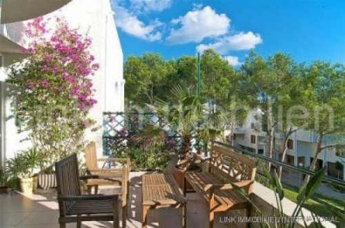 Sol de Mallorca Wohnungen Reihenhaus in Sol de Mallorca - Mallorca Haus kaufen