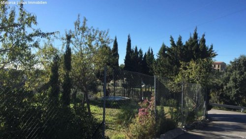 Galilea Immobilien Erschlossenes Baugrundstück mit tollem Blick Grundstück kaufen