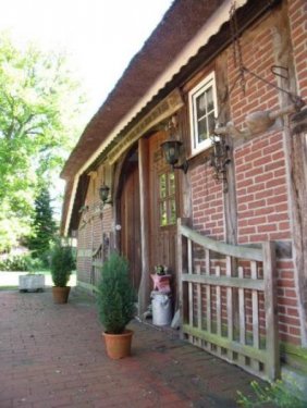 Jade Häuser Reetgedecktes Heuerhaus + Remise + Gartenhaus + Lagerhalle + 3500 m² Haus kaufen