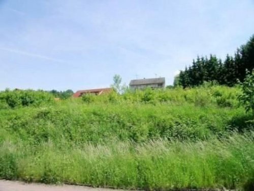 Burghaun Immobilien Günstige Bauplatz in Burghaun, voll erschlossen Grundstück kaufen