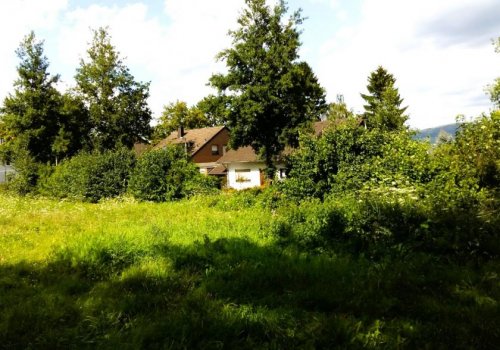 Bonn Inserate an Grundstücken **Grundstück mit großem Potentzial** Grundstück kaufen
