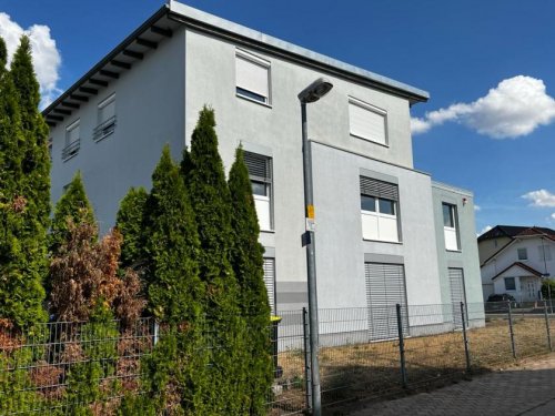 Bad Kreuznach Häuser Top-Gelegenheit! Mehrfamilienhaus mit 3 großen Wohneinheiten in Planig/Bad Kreuznach zu verkaufen Haus kaufen