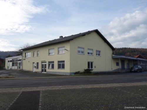 Wächtersbach Immobilien Großzügige, beheizbare Halle mit großem Grundstück und Einliegerwohnung in Brachttal zu verkaufen Gewerbe kaufen