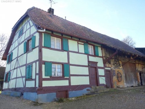 Hindlingen Immobilien Bauernhaus im Dorfkern mit Nebengebäude u. Umschwung im Elsass - 40 km v/Basel und Weil am Rhein Haus kaufen