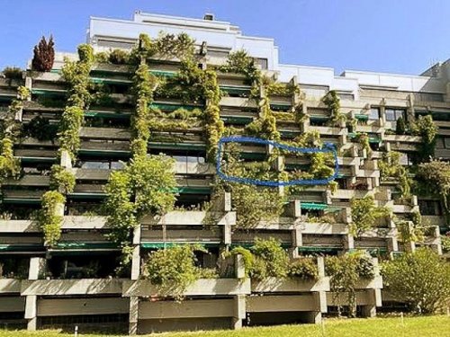 München Wohnungen Grüner Wohnen in einer kernsanierten 2,5-Zimmer-Wohnung mit Südterrasse in Bogenhausen - München Wohnung kaufen