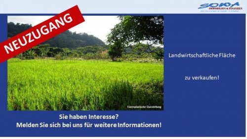 Syrgenstein Grundstück-Angebot Großzügige Landwirtschaftsfläche oder Ausgleichsfläche zu verkaufen in Syrgenstein - Ein Objekt von SOWA Immobilien &