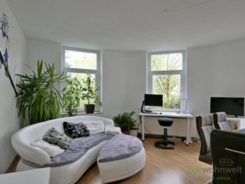 Dresden 2-Zimmer Wohnung (EF0846_M) Dresden: Blasewitz, sehr schöne, neu möblierte Wohnung mit WLAN, Balkon und Waschmaschine, HUE-Lichtsystem Wohnung