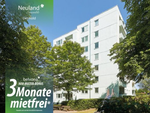 Detmold Wohnung Altbau SOFORT FREI! 3 Zi- belvona Luxuswohnung in Ahorn!
Neumieter-Bonus: 3 Monate mietfrei! Wohnung mieten