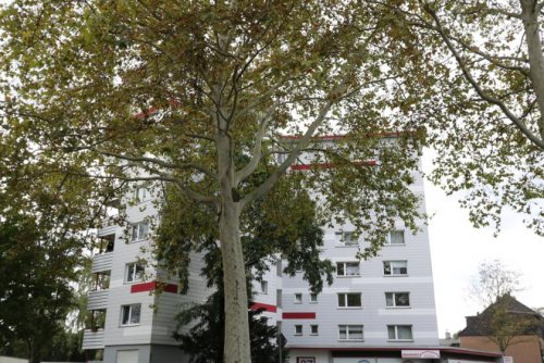 Duisburg Etagenwohnung Frisch sanierte großzügige 3-Zimmer-Wohnung mit Aufzug und Balkon Wohnung mieten