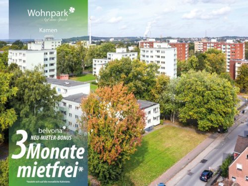 Kamen Immobilien 3 Monate mietfrei: Frisch sanierte 3 Zimmer-Ahorn-Luxuswohnung im Wohnpark auf dem Spieck! Wohnung mieten