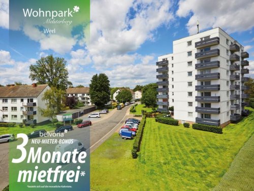 Werl Mietwohnungen 3 Monate mietfrei: Frisch sanierte 2 Zimmer-Ahorn-Luxuswohnung im „Wohnpark Meisterberg!“ Wohnung mieten