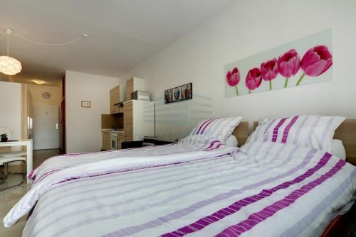 München Günstige Wohnungen Sehr großes möbliertes 1-Zimmer Appartement mit 2 Schlafplätzen in München Schwabing-Nord / Milbertshofen Wohnung mieten