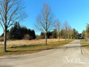 Lüssow (Landkreis Vorpommern-Greifswald) Noch zu teilendes ca. 1.250m² großes Grundstück mit ca. 4.000m² Gartenland in Ostseenähe Grundstück kaufen