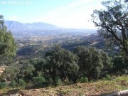 ELVIRIA Grundstück mit Meerblick in La Mairena Grundstück kaufen