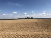 Hanau Diverse landwirtschaftliche Grundstück zu verkaufen - Liste auf Anfrage Grundstück kaufen