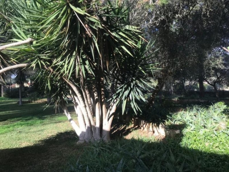 Algaida Wunderschöne Finca in Algaida Haus