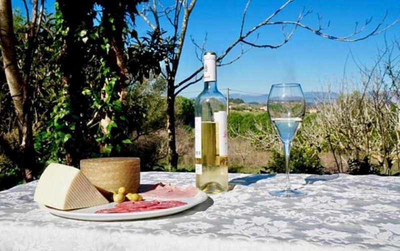 Algaida Wunderschöne Finca in Algaida Haus 