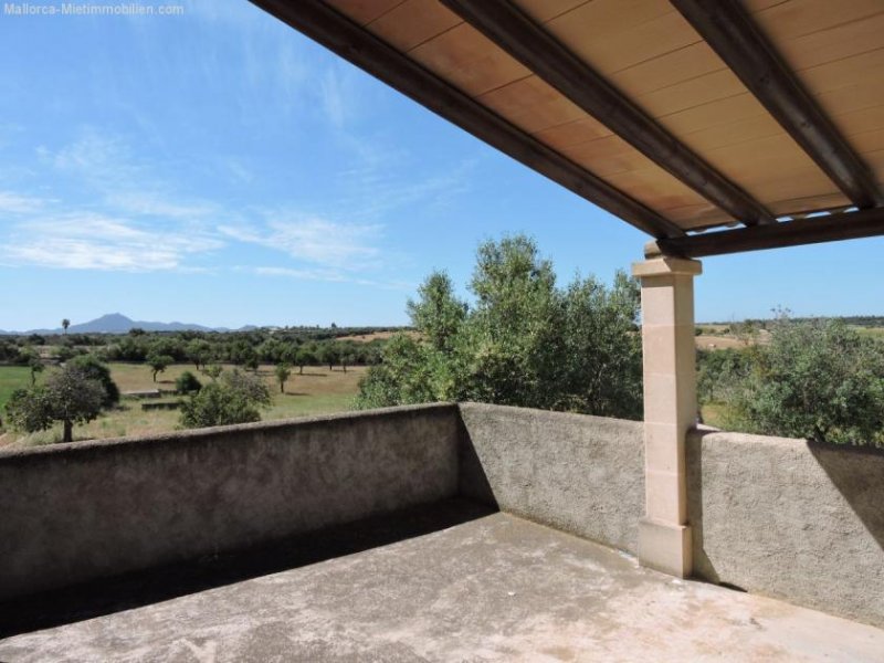 Vilafranca de Bonany Authentische und liebevoll renovierte Finca, Pool - 2 Pferde auf Anfrage Haus