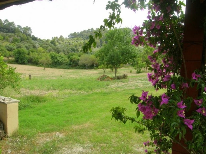 Mancor de la Vall Wunderschöne Finca in Mancor de la Vall Haus 