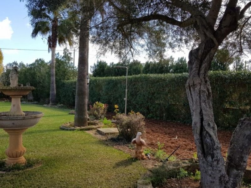 Manacor Wunderschönes Chalet in Manacor Haus