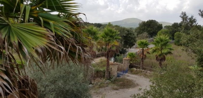 Harth-Pöllnitz Landhausfinca mit Ferienvermietlizenz in Àrta Haus