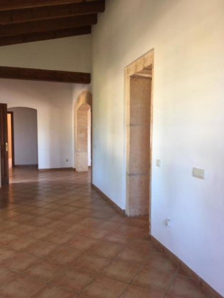 Llucmajor Traumhafte Pferdefinca in Llucmajor Haus 
