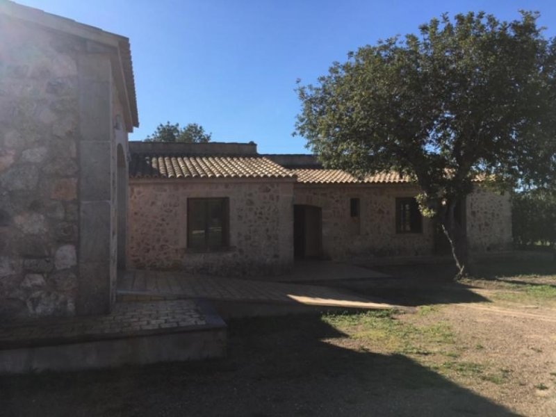 Llucmajor Traumhafte Pferdefinca in Llucmajor Haus 