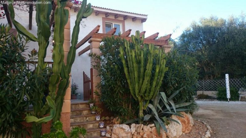 Cala Murada Geräumiges Chalet in Cala Murada, eingezäunt , Waldblick Haus