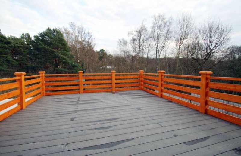 Berlin Modernes Einfamilienhaus, großes Grundstück zur Miete Haus 