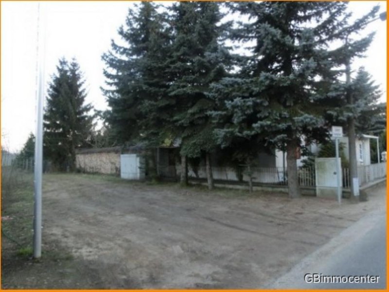 Beelitz (Landkreis Potsdam-Mittelmark) 2026 HAUS - MIETEN Haus 