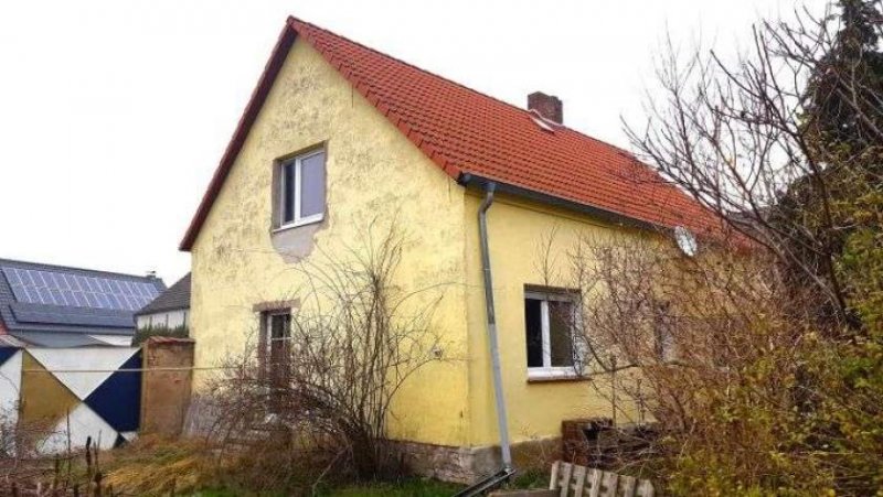 Wiesenburg/Mark Individuelles Wohnen im Hohen Fläming - Kauf- oder Mietkauf möglich Haus 