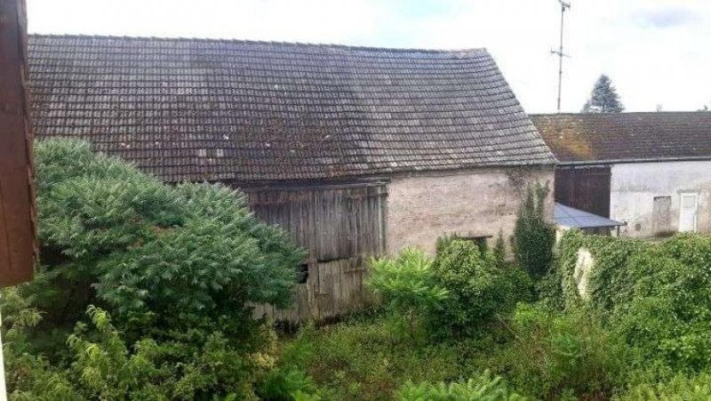 Wiesenburg/Mark Individuelles Wohnen im Hohen Fläming - Kauf- oder Mietkauf möglich Haus 
