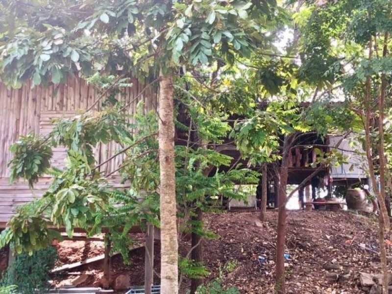 Sikkhiu Wohnen auf grossem Grundstück bei Sikkhiu Für jene die das unabhängige Landleben im Walde mögen. Haus