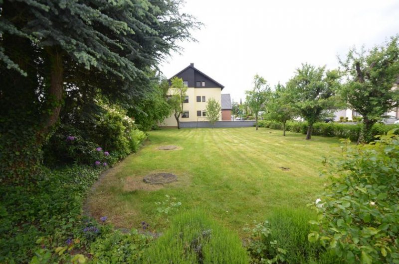 Bornheim (Rhein-Sieg-Kreis) Individuelles Einfamilienhaus mit sehr großem Garten Haus