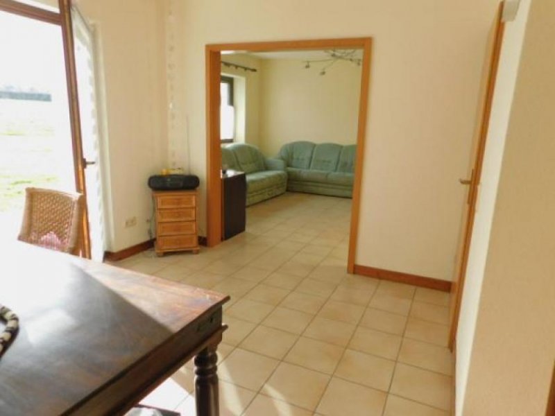 Piesport Piesport Schäferhof - wo Fuchs und Hase Ihnen gute Nacht sagen - EFHs. zur Miete Haus 