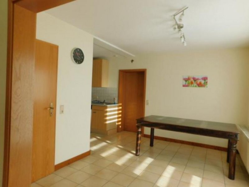 Piesport Piesport Schäferhof - wo Fuchs und Hase Ihnen gute Nacht sagen - EFHs. zur Miete Haus 