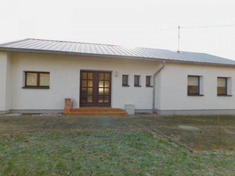 Piesport Piesport Schäferhof - wo Fuchs und Hase Ihnen gute Nacht sagen - EFHs. zur Miete Haus 