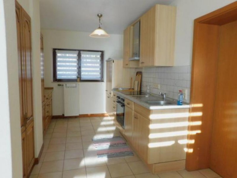 Piesport Piesport Schäferhof - wo Fuchs und Hase Ihnen gute Nacht sagen - EFHs. zur Miete Haus 